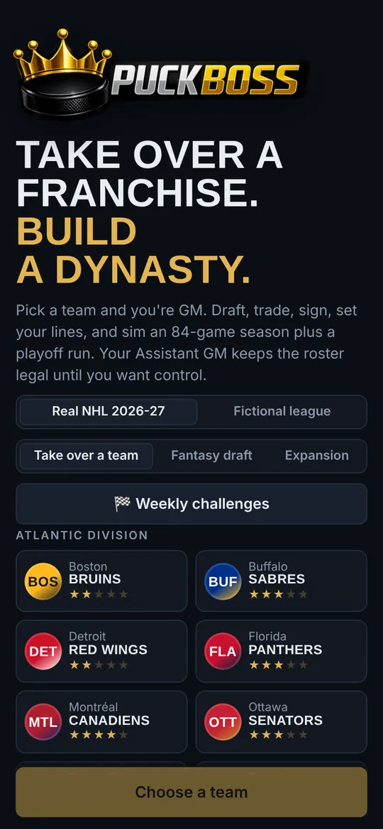 Choosing a team: every NHL club with its star rating
